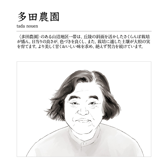 山形の極み　紅姫　４００ｇ（お届けは７月１５日～８月１３日）