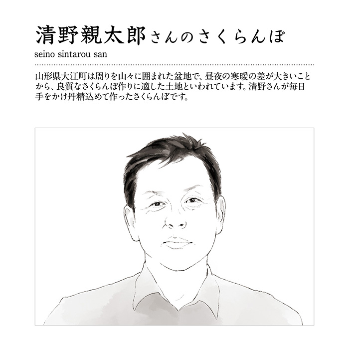 山形の極み　佐藤錦　１ｋｇ（５００ｇ×２）［バラ詰］（お届けは６月２５日～７月５日）