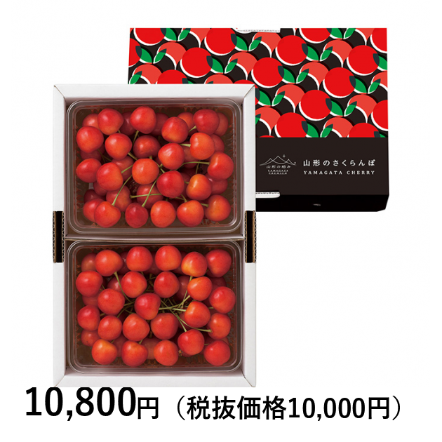 山梨産直　さくらんぼ　大将錦　大玉 山形の極み] 大将錦 1kg（500g×2）［バラ詰］（お届けは6月