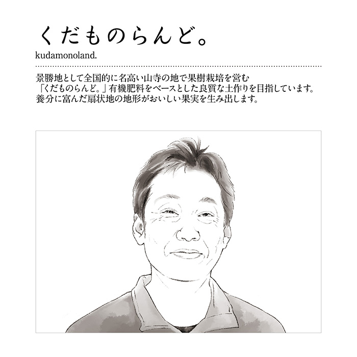 山形の極み　紅秀峰　７００ｇ（３５０ｇ×２）［バラ詰］（お届けは６月２５日～７月５日）