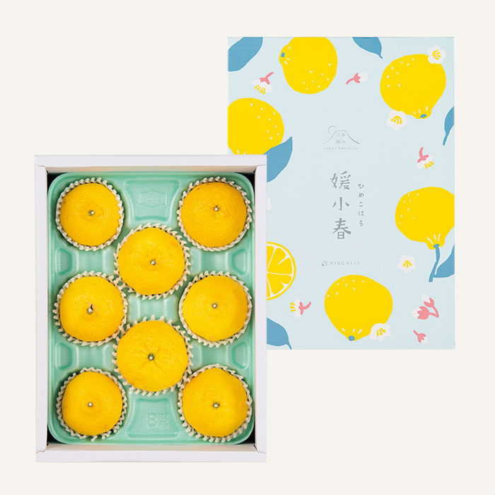 日本の極み　愛媛県産　媛小春　　１．５ｋｇ（お届けは１月２０日～２月１０日）