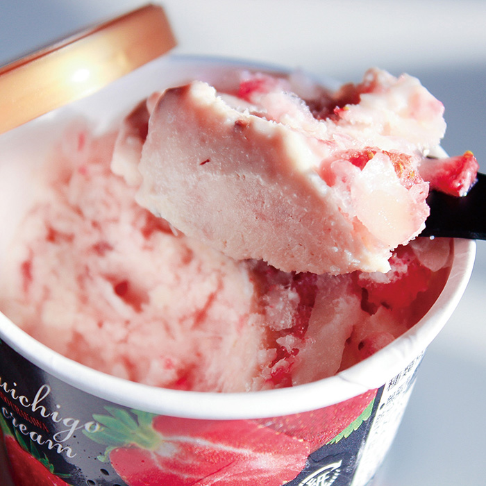 北のハイグレード食品ｓ 浦河町 北海道ストロベリープロモーション 夏いちごアイスセット １２個入 カタログギフトのリンベル 公式