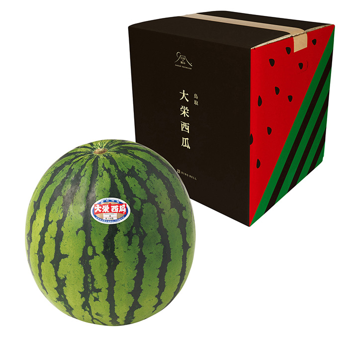 日本の極み　【お試しＰＲＩＣＥ】鳥取県産　大栄すいか　　１１ｋｇ（お届けは６月２０日～７月１５日）【限定１００品】