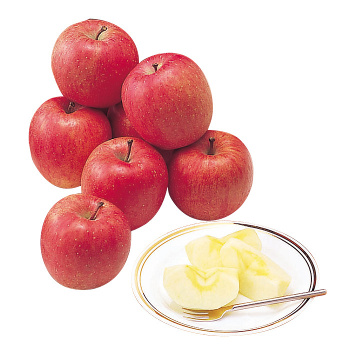 待望 山形産高徳りんご 1 5kg りんご