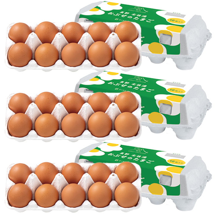 日本の極み　長野県産　北信濃　おぶせのたまご　３０個