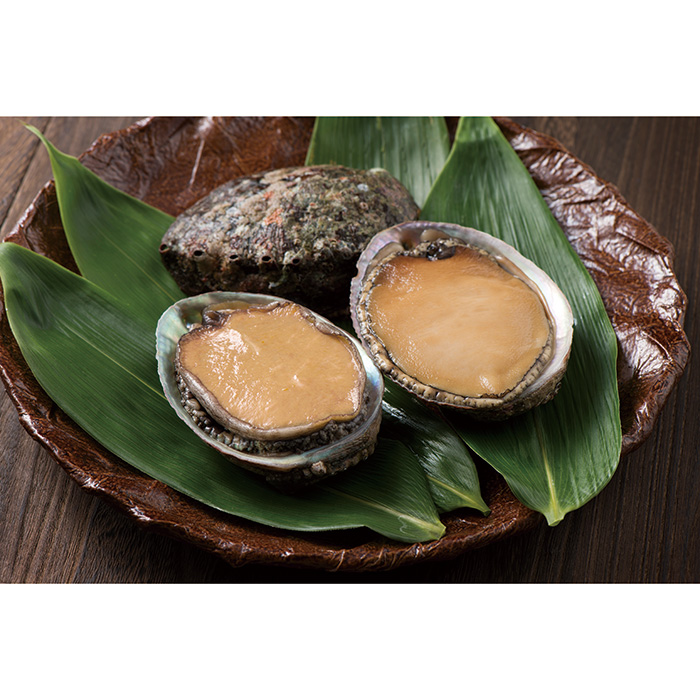 伊勢志摩産 活赤あわび 800g(お届けは1月10日~8月31日)