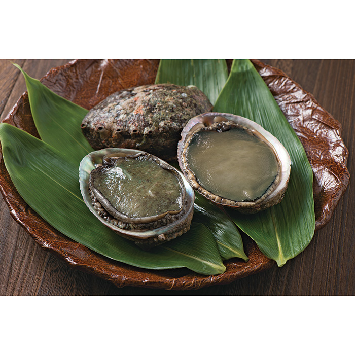 伊勢志摩産 活黒あわび 800g(お届けは1月10日~8月31日)