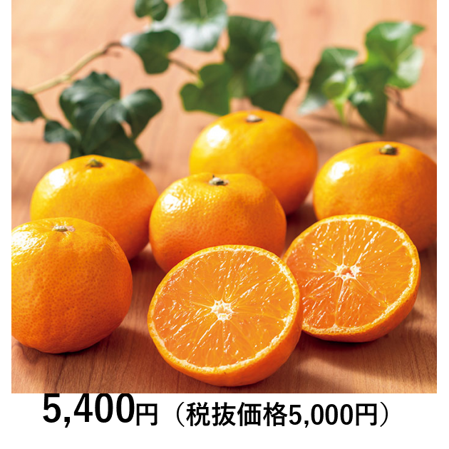 日本の極み] 高知県産 四万十あま～いみかん 2kg（お届けは10月