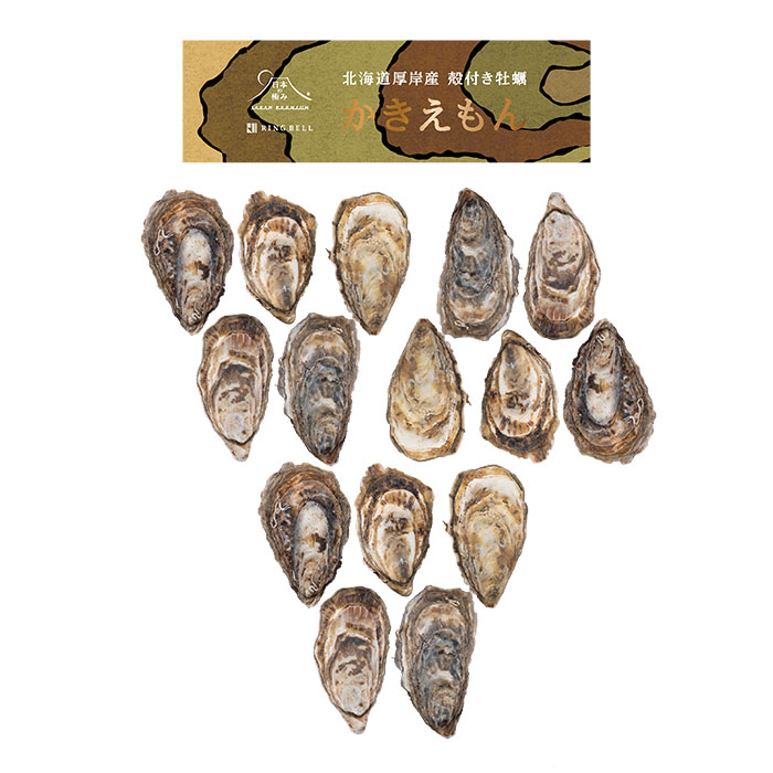 日本の極み　北海道厚岸産　殻付き牡蠣カキえもん　１５個