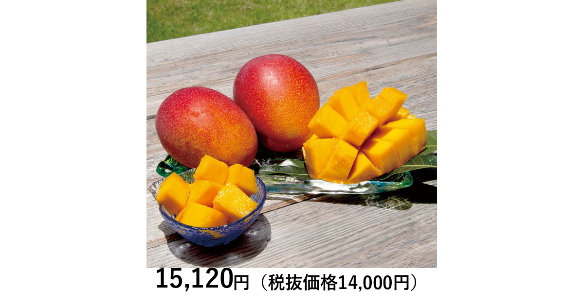 摘果マンゴー　21kg+α 摘果マンゴー 21kg+α