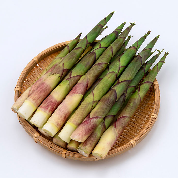 月山筍 1kg(お届けは6月10日~6月30日) 月山筍 1kg(お届けは6月10日~6月30日)