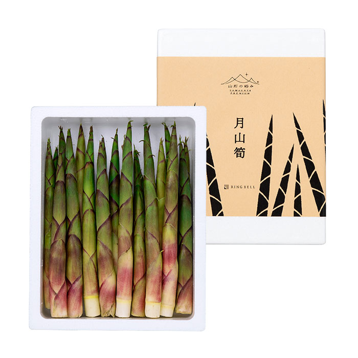 山形の極み] 月山筍 1kg（お届けは6月10日～6月30日