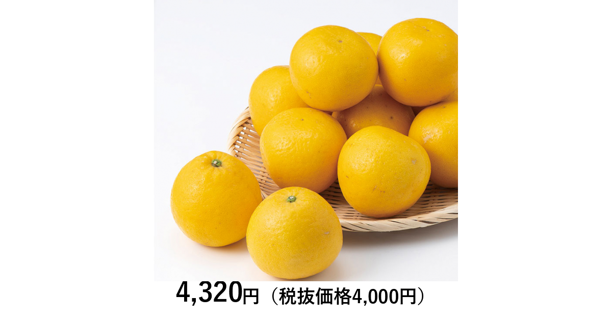 河内晩柑（かわちばんかん） 4kg 発送期間3月～5月 | くだもの