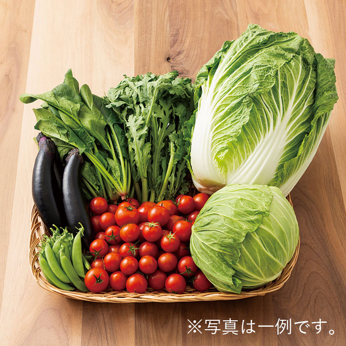 鳥取県産 野菜セット 6種 (お届けは6月10日~11月30日) 鳥取県産 野菜セット 6種 (お届けは6月10日~11月30日)