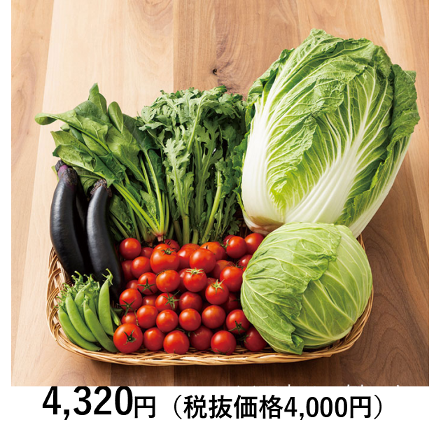 日本の極み] 鳥取県産 野菜セット 7種 （お届けは6月10日～11月