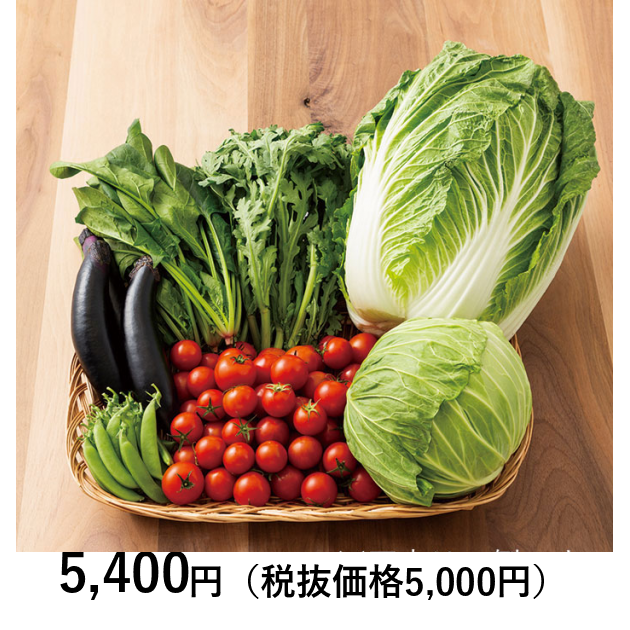 日本の極み] 鳥取県産 野菜セット 8種 （お届けは6月10日～11月