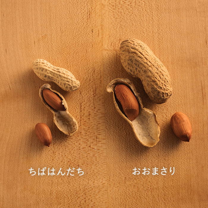 ＴＵＴＩＴＯＮＥ　焙煎落花生「おおまさり」「ちばはんだち」２種３袋
