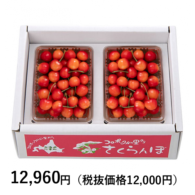 コロポックルの里から] 北海道産さくらんぼ 佐藤錦800g（お届けは