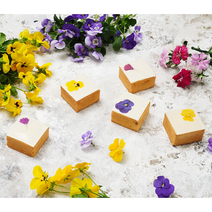 ＩＣＯＮＩＣ　ＳＴＡＧＥ　キューブケーキ６個セット