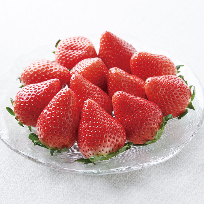 日本の極み　静岡県産　静岡厳選　きらぴ香　４５０ｇ（お届けは１月７日～３月３０日）