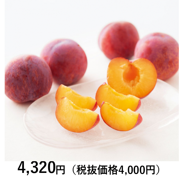 日本の極み] 山梨県産 すもも（貴陽） 800g（お届けは7月1日～8