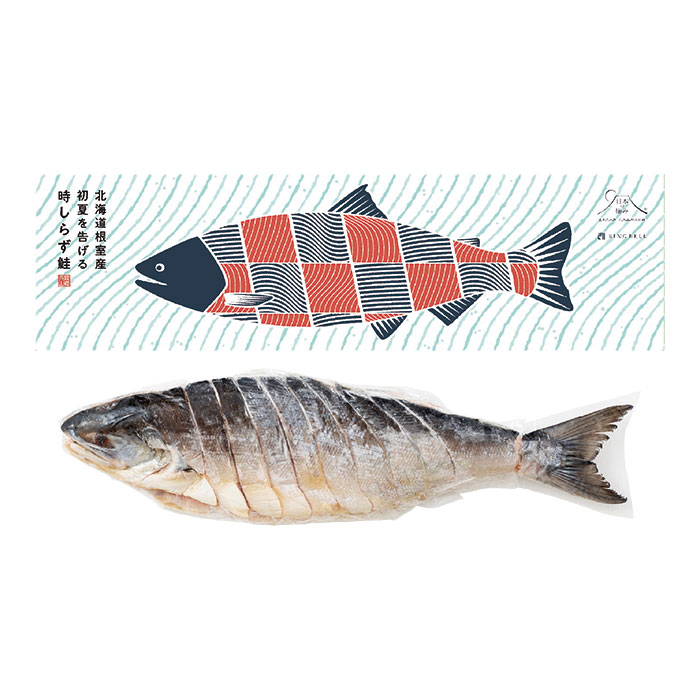 日本の極み 北海道根室産 初夏を告げる時知らず鮭 1.5kg