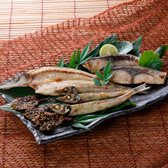 日本の極み　富山県　富山湾きときと味便り　５種