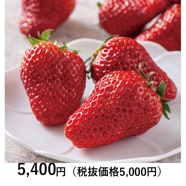 日本の極み] 島根県産 完熟紅ほっぺ 380g（お届けは1月10日～3