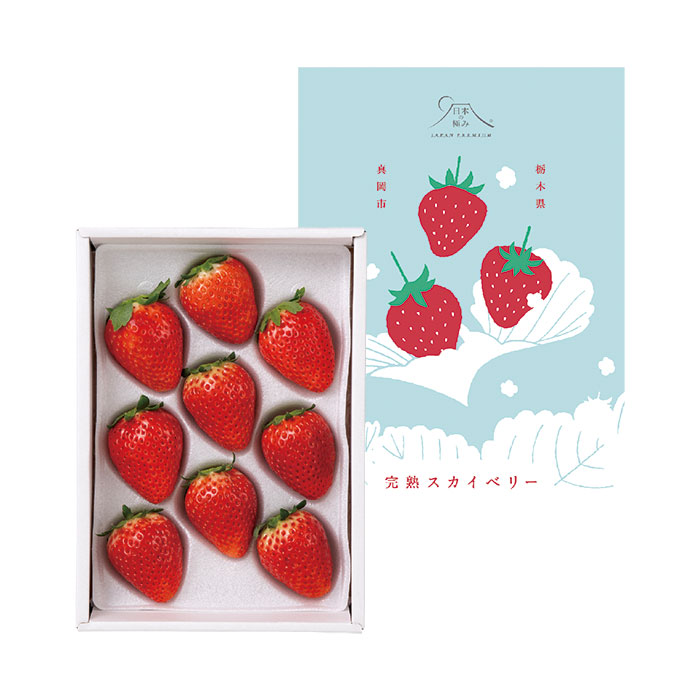 日本の極み 真岡市産 完熟スカイベリー(お届けは1月10日~3月10日)
