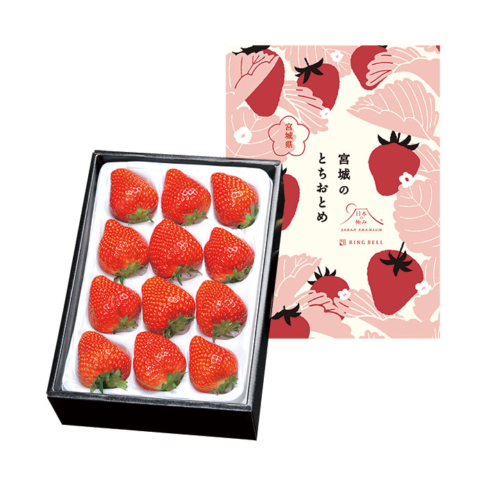 日本の極み　宮城県産　いちご（とちおとめ）（お届けは１月１０日～３月３０日）