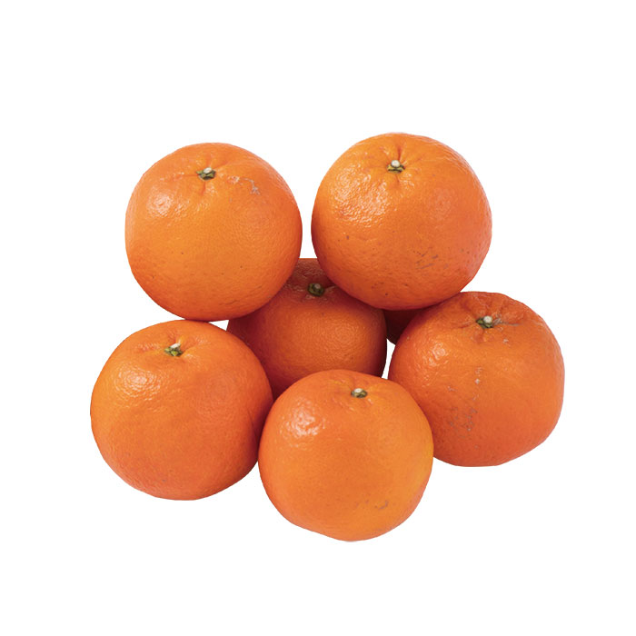 日本の極み　奄美大島産　大和村のたんかん　１．５ｋｇ（６～９個）（お届けは２月１日～２月２６日）