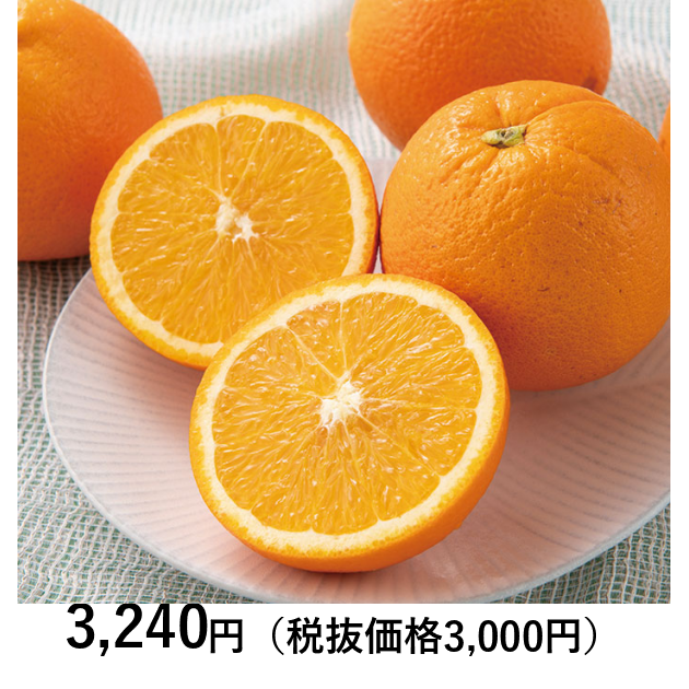 日本の極み] 和歌山県産 清見オレンジ 秀Lサイズ2kg（12～14個