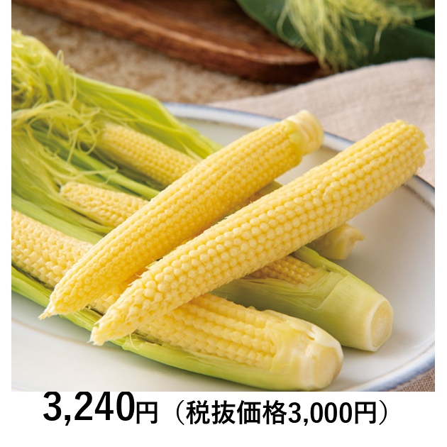 ふるさとの極み] 山梨県産 ヤングコーン 20本 （お届けは5月1日