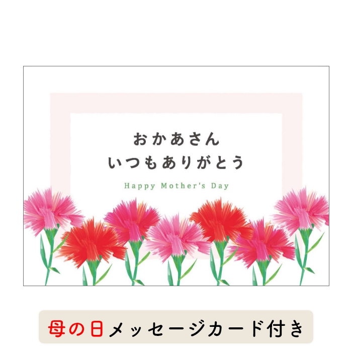 山形の極み　【母の日専用ギフト仕様】　山形県　ＥＳＣＡＲＧＯＴ　フロランタン　２０個入（お届けは４月１１日～５月３１日）