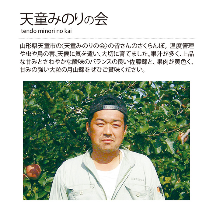 山形の極み 月山錦 佐藤錦 各250g バラ詰 お届けは6月20日 7月5日 カタログギフトのリンベル 公式 山形の極み 月山錦 佐藤錦 各250g バラ詰 お届けは6月20日 7月5日 カタログギフトのリンベル 公式