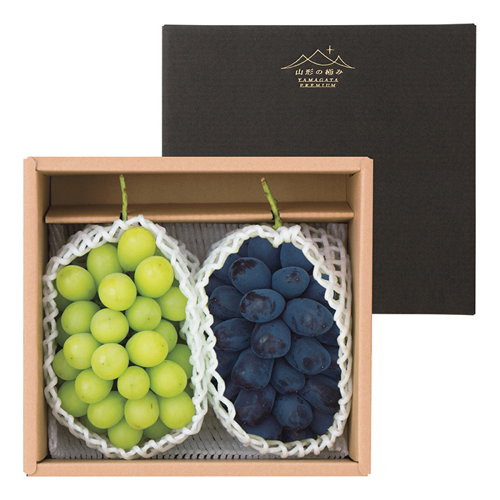 山形の極み 山形県産 ぶどう2種詰合せ(お届けは12月15日~12月25日)