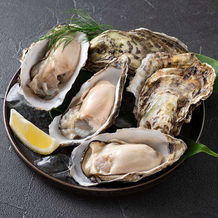 日本の極み　〈クオリタ会員様〉北海道厚岸産　殻付き牡蠣マルえもん　１０個