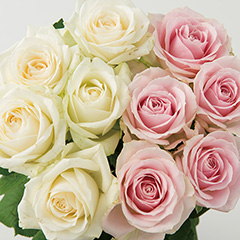 [フラワーギフト] 山形県　大山バラ園　バラの花束（１２本）ホワイト＋ピンク