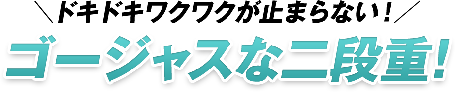 \ドキドキワクワクが止まらない！/ゴージャスな二段重！