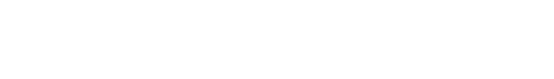 ドキドキワクワクが止まらない　和と洋のごちそうがつまった二段重！