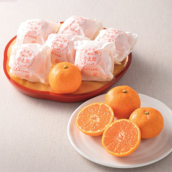 愛媛県産 小太郎みかん