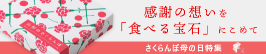 山形県産 高級さくらんぼ