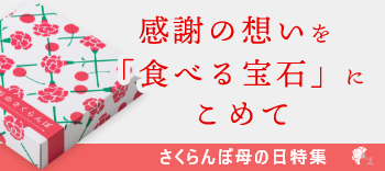 山形県産 高級さくらんぼ