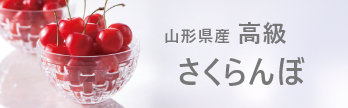 山形県産 高級さくらんぼ