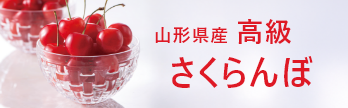 山形県産 高級さくらんぼ