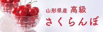 山形県産 高級さくらんぼ