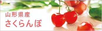 山形県産 さくらんぼ