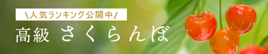 人気ランキング公開中　山形県産 高級 さくらんぼ