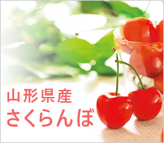 山形県産 さくらんぼ