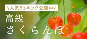 人気ランキング公開中　山形県産 高級 さくらんぼ